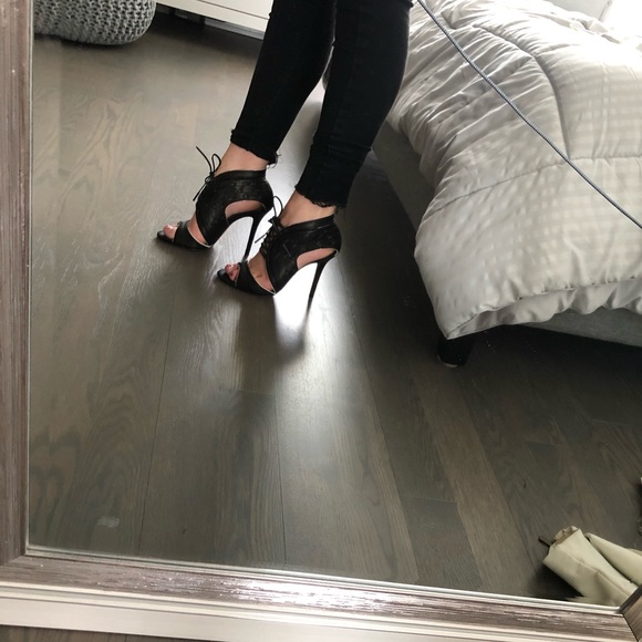 LAMB - Picture 2 of 6